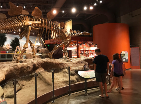 Walking through the Utah Field Natural History State Park Museum