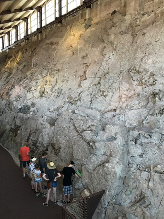 The Carnegie Quarry Wall Of Bones
