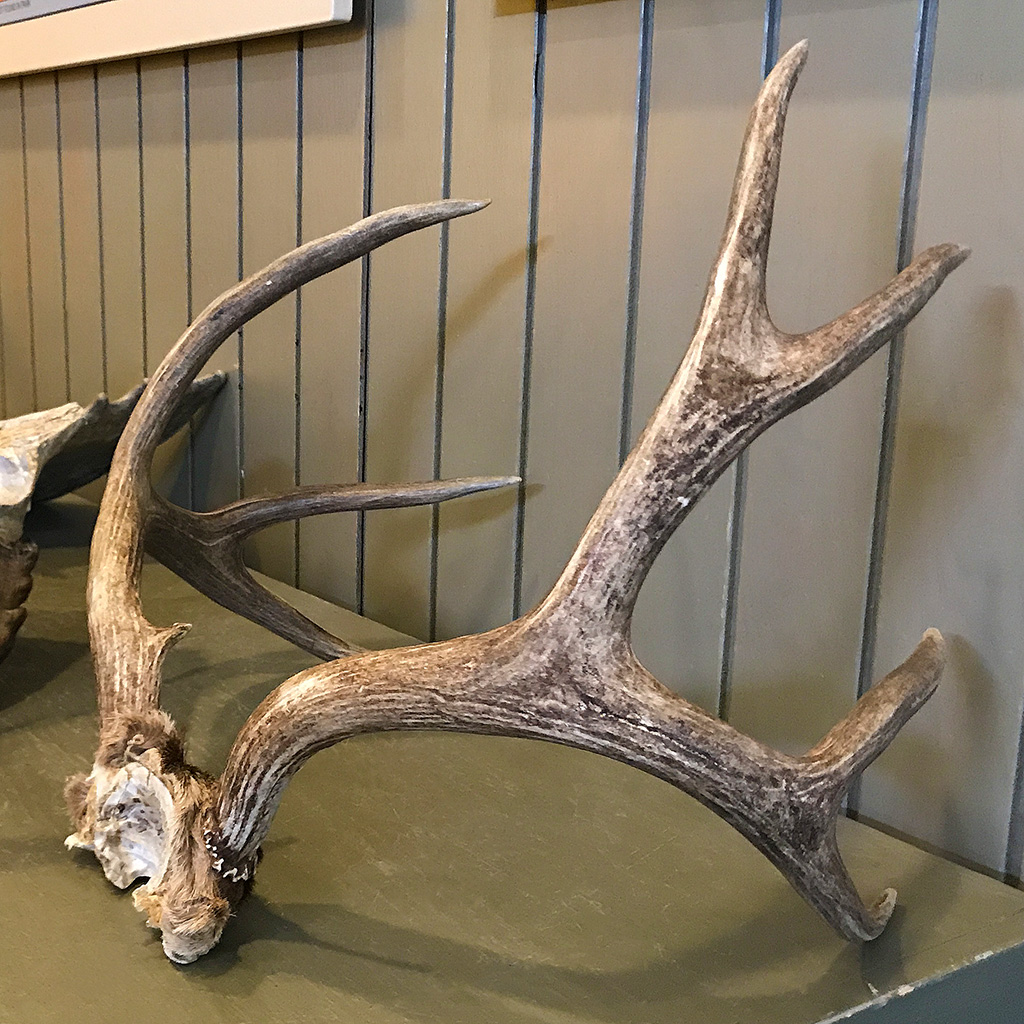 Kawuneeche Visitor Center at Rocky Mountain National Park