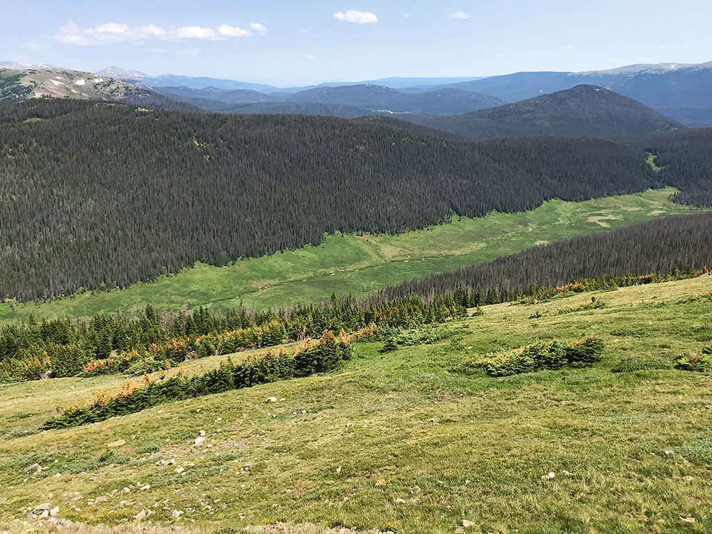 Medicine Bow Curve On Trail Ridge Road In Rocky Mountain National Park