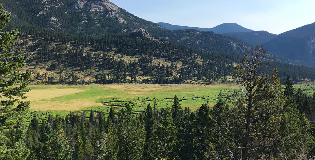 Horseshoe Park Overlook In Rocky Mountain National Park