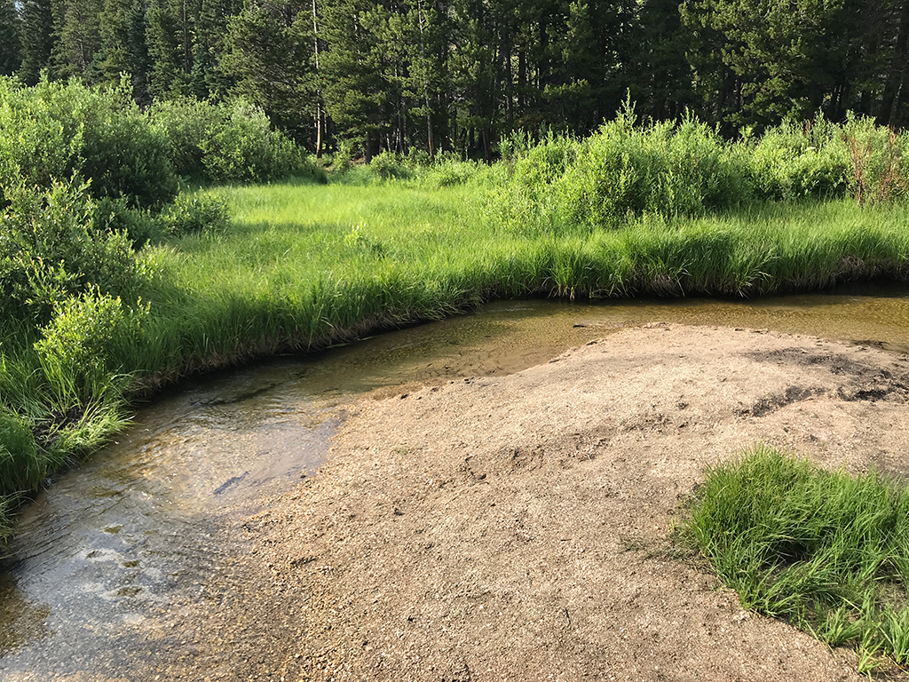 Beaver Ponds Boardwalk On Hidden Valley Creek In Rocky Mountain