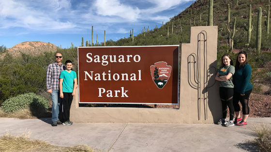 10 Things To Do And See At Saguaro National Park