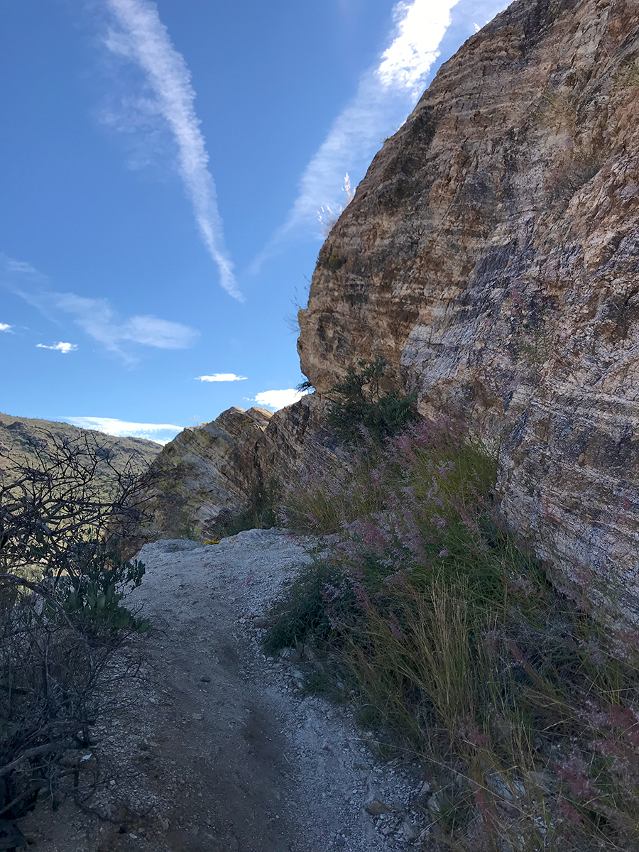 Javelina Rocks Overlook And Picnic Area At Saguaro National Park