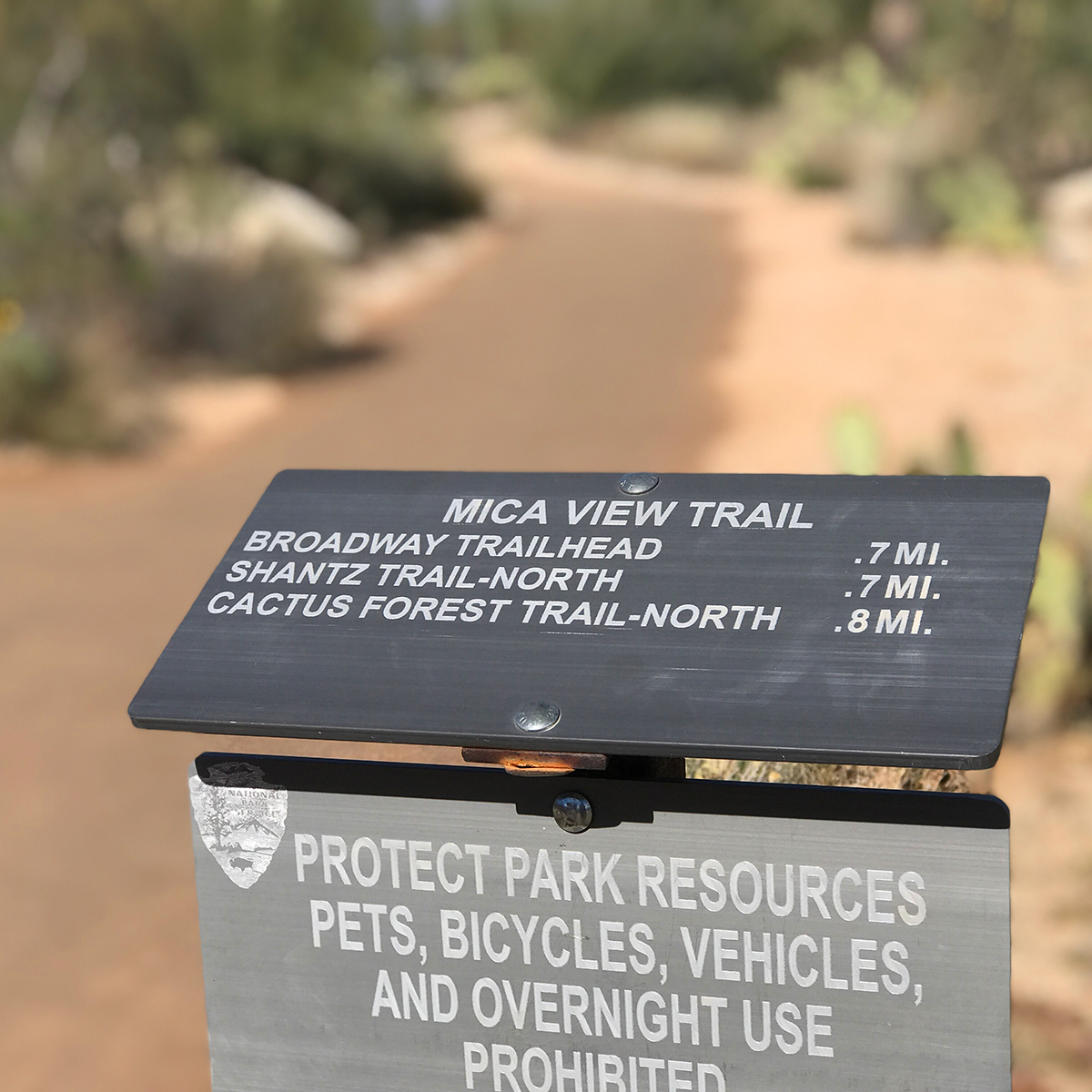 Mica View Trail And Picnic Area At Saguaro National Park