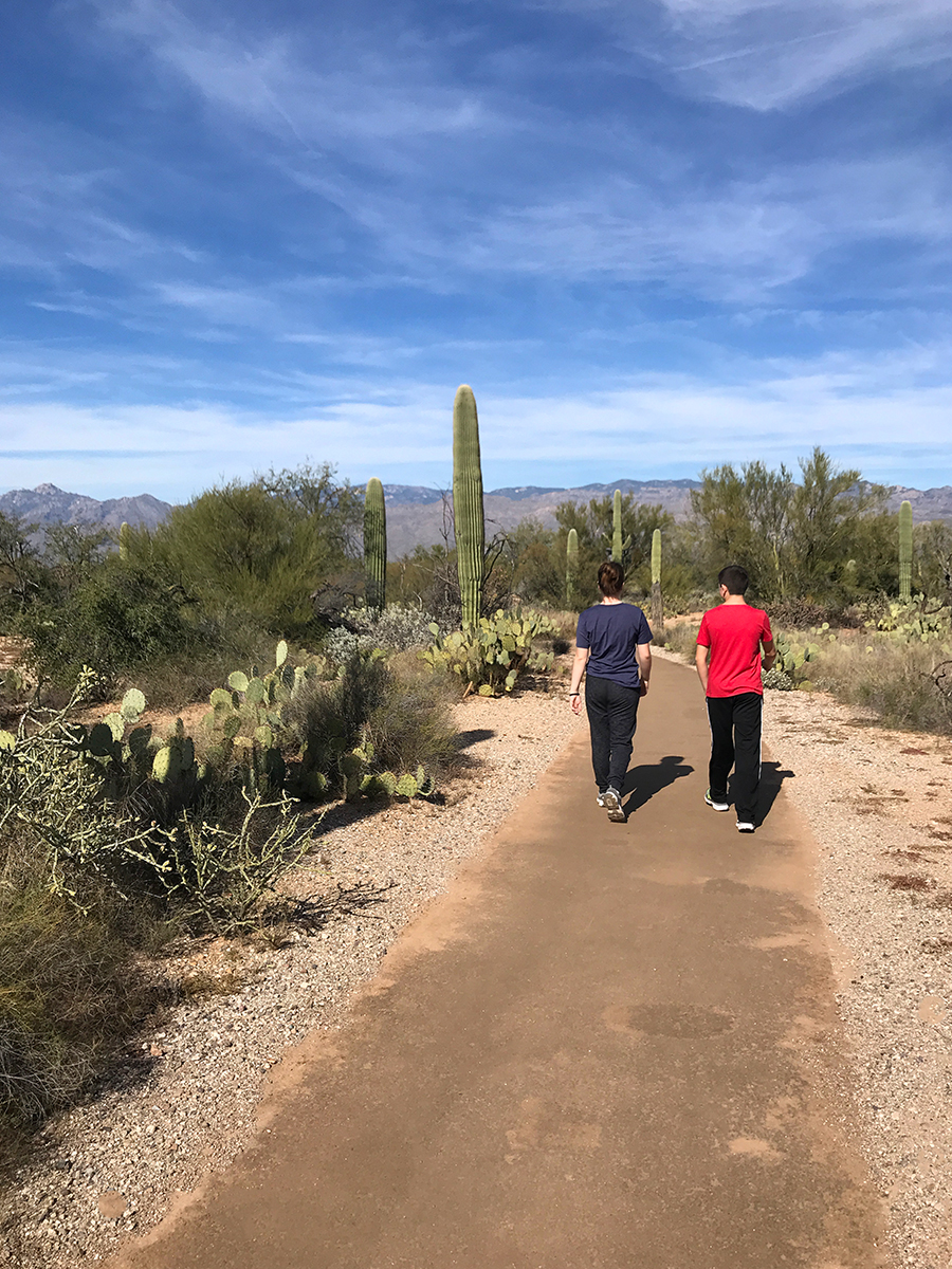 Mica View Trail And Picnic Area At Saguaro National Park