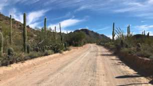 Scenic Bajada Loop Drive at Saguaro West