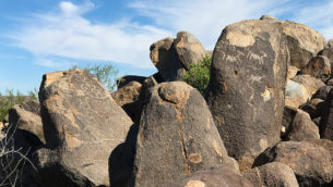 Signal Hill Petroglyphs at Saguaro National Park