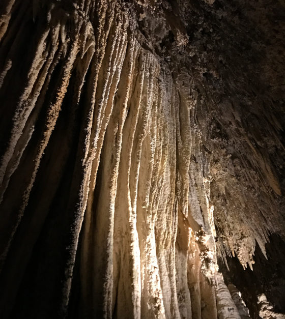 Cave Draperies at Carlsbad Caverns on the Kings Palace Tour