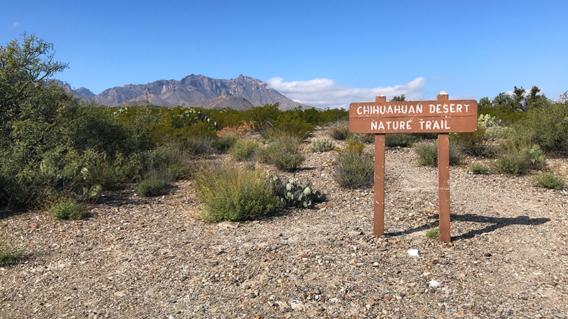 Dug Out Wells Picnic Area and Chihuahuan Desert Nature Trail