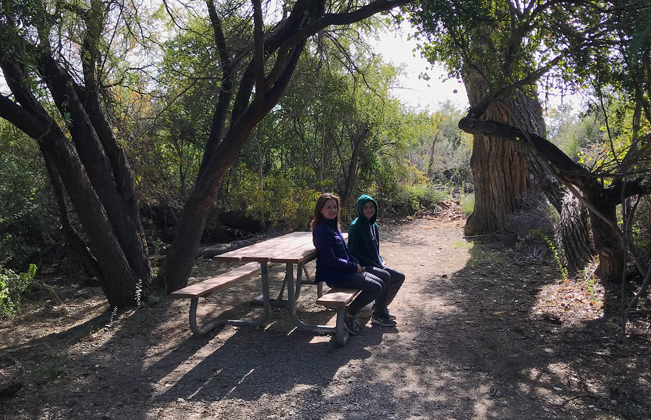 Dug Out Wells Picnic Area And Chihuahuan Desert Nature Trail (1300 x 839 Pixel)