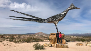 Recycled Roadrunner Statue in Las Cruces, New Mexico