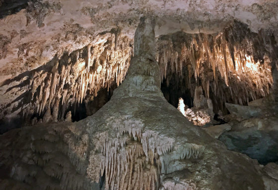 Rock Column at Carlsbad Caverns National Park