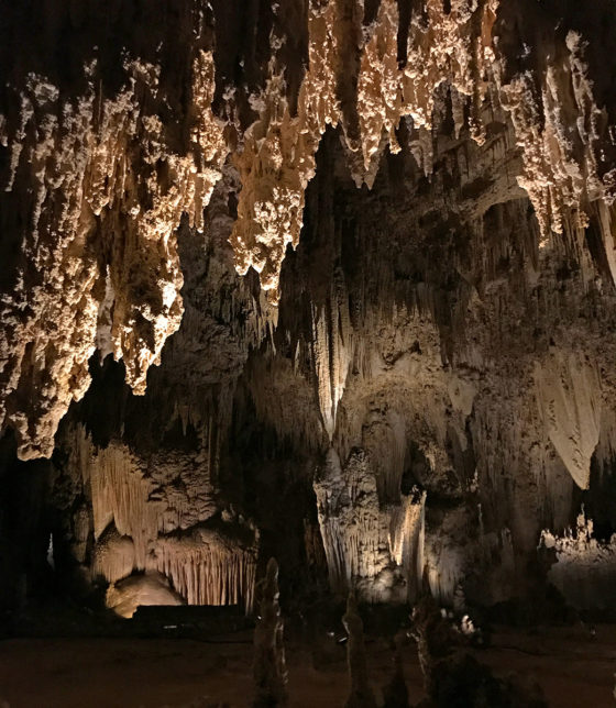 Carlsbad Caverns National Park Stalactites and Rock Formations