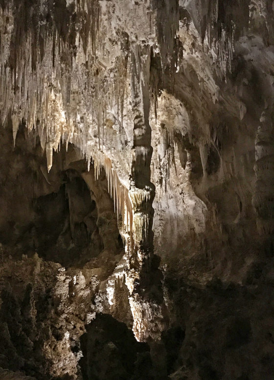 Giant Rock Column in the Big Room at Carlsbad Caverns