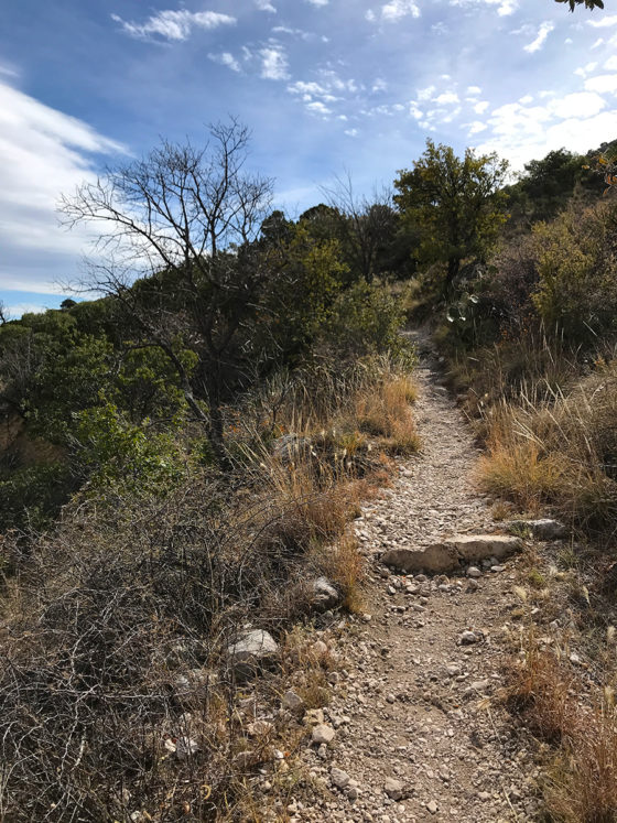 Hiking the Devil's Hall Trail