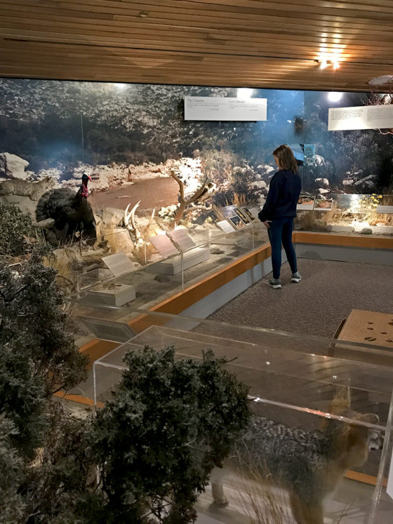 Natalie Bourn Checking Out The Guadalupe Mountains National Park Visitor Center Exhibits