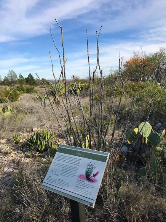 Ocotillo Living Desert Gardens Trail Signage