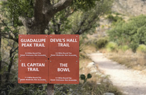 Pine Springs Trailhead Signs at Guadalupe Mountains National Park