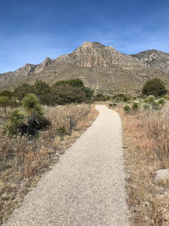 Pinery Trail and Pine Springs in Guadalupe Mountains National Park