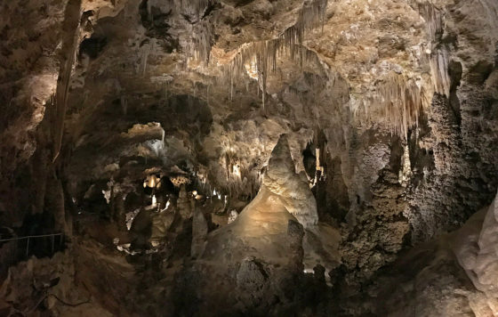 Rock Formations in the Big Room at Carlsbad Caverns in New Mexico