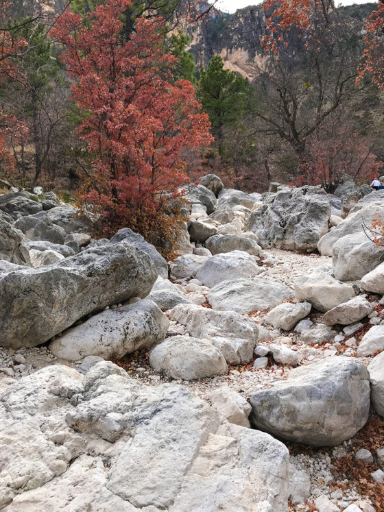 Rocky Trail through Fall Foliage and Boulders