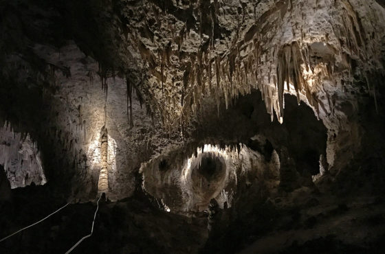 The Big Room Trail at Carlsbad Caverns National Park