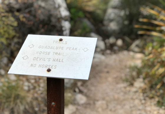Trail Signage Along The Devil's Hall Trail