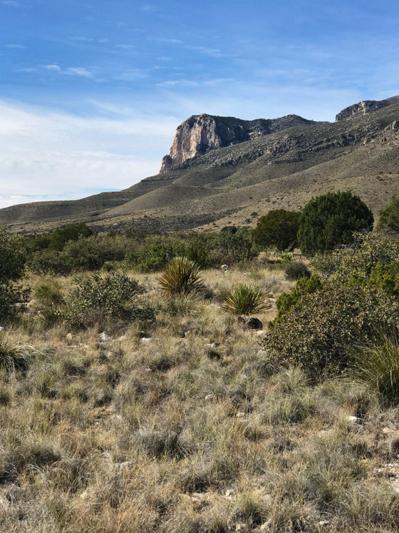 Trail View at Guadalupe Mountains National Park