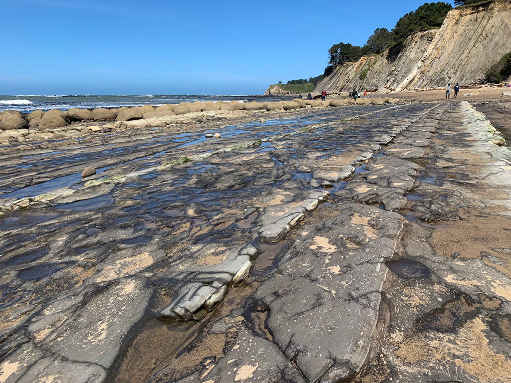 Bowling Ball Beach Near Point Arena in Mendocino County