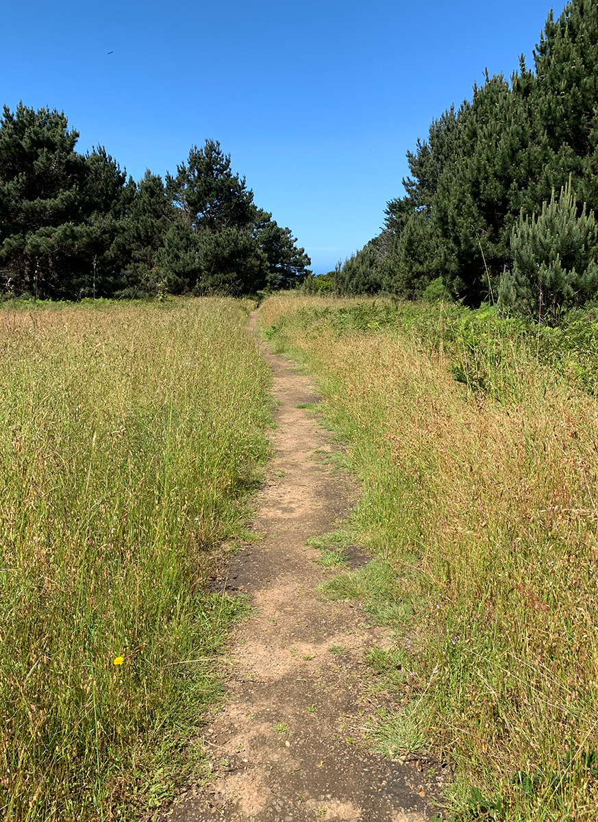 Bowling Ball Beach Near Point Arena in Mendocino County