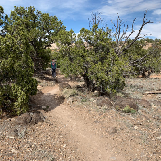 Carter Bourn Walking the Petrified Forest Loop Trail