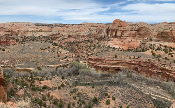 Read Rock Landscape In Utah