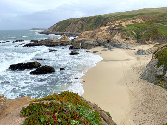 Beach At Bodega Head