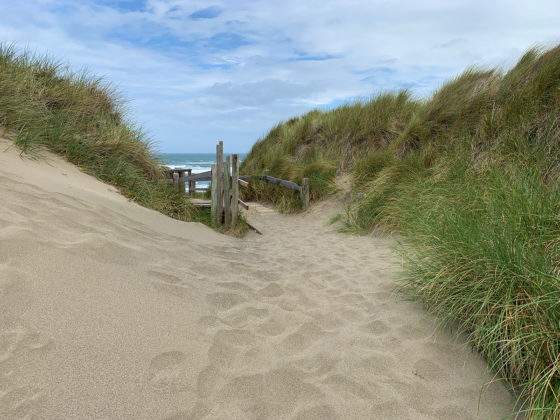 Path To Beach From Bodega Dunes Beach Parking Area