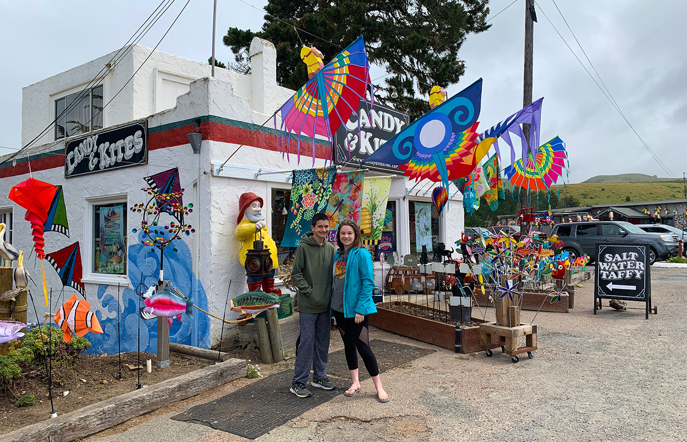 Exploring The Coastal Town Of Bodega Bay and Nearby Bodedga