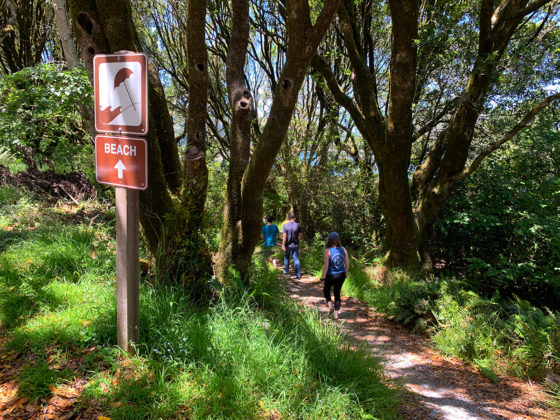 Hike From Overflow Parking to Heart's Desire Beach