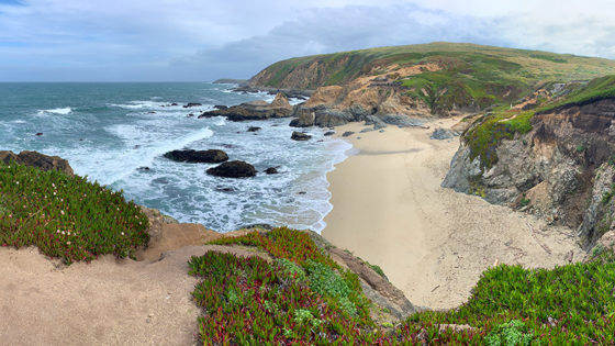 Bodega Head Trail In Bodega Bay