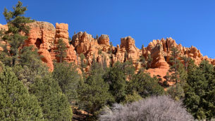 Views Of Hoodoos In Red Canyon