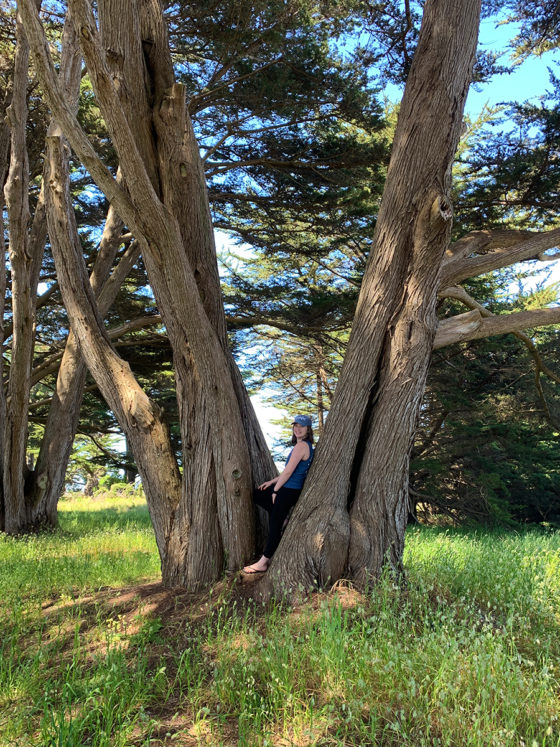 Natalie Bourn in a Cypress Tree