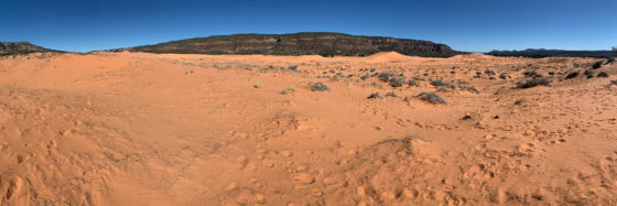 Panorama Of The Coral Pink Sand Dunes State Park
