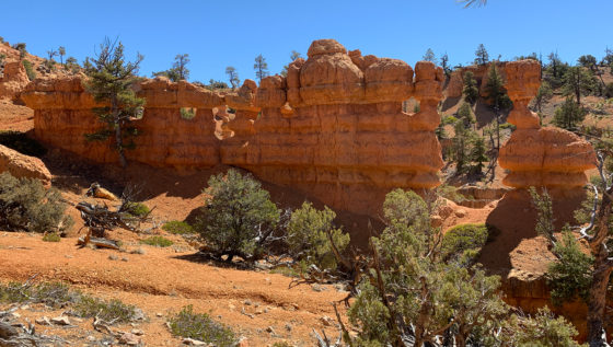Red Canyon Arches Trail Formations