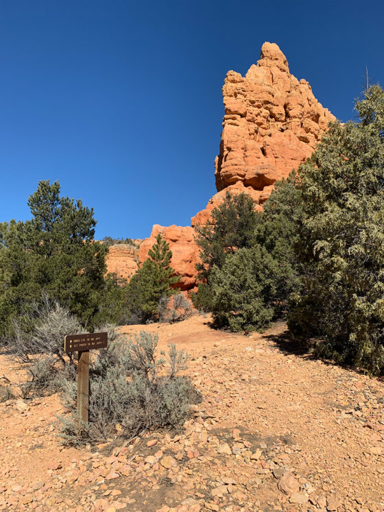 Red Canyon Hiking Trails