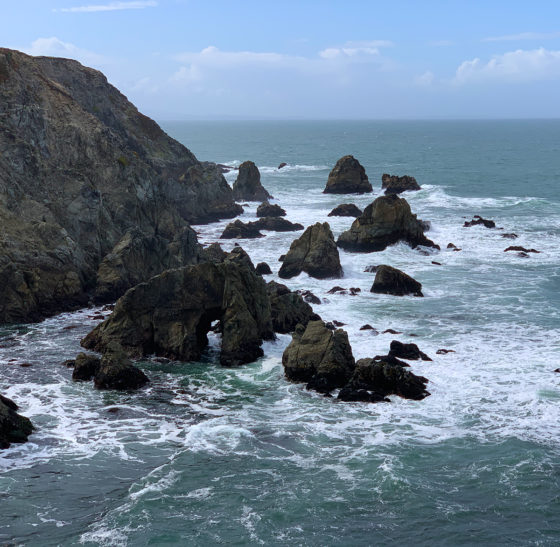 Rocky Coastline Along Bodega Head