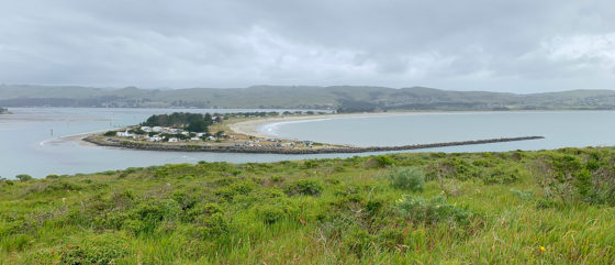View of Doran Beach Campground From Bodega Head