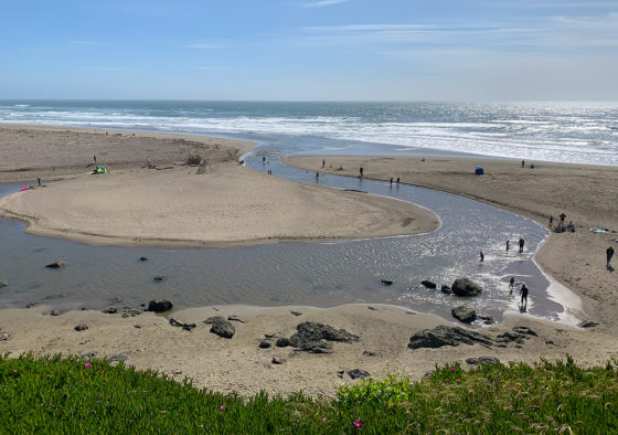 View of North Salmon Creek Beach From The Bluffs