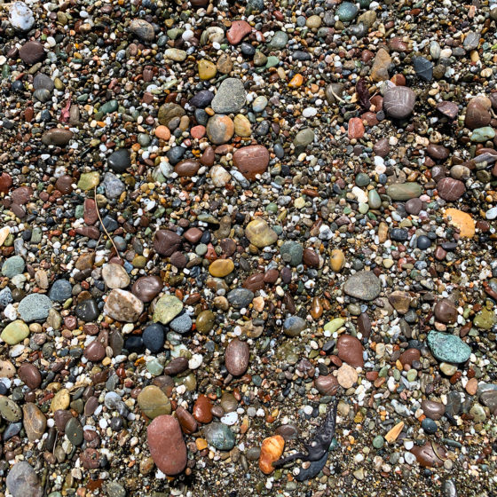 Pebbles on Wright's Beach