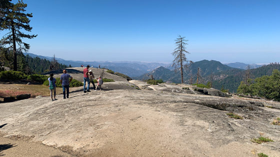 Beetle Rock at Sequoia National Park