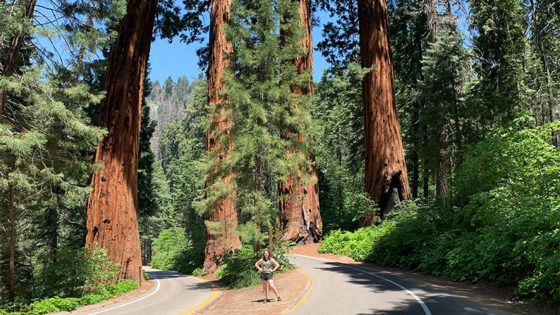 Four Guardsmen At The Giant Forest Entrance