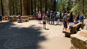 General Sherman Tree Trail at Sequoia National Park